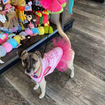 Thumbnail photo of Princess Sunshine #2