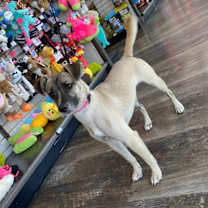 Thumbnail photo of Princess Sunshine #4