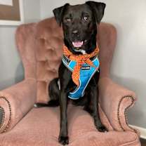 Thumbnail photo of Misty Rae #4