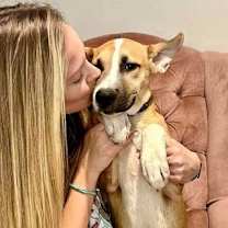 Thumbnail photo of Soybean #3