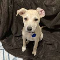 Thumbnail photo of Lynn Anderson #1