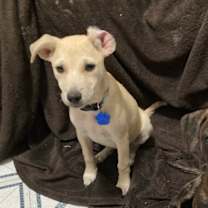 Thumbnail photo of Lynn Anderson #3