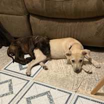 Thumbnail photo of Bobbie Benton #2