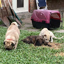 Thumbnail photo of Bobbie Benton #4