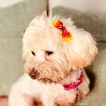 Thumbnail photo of Chelsea Marie #2