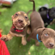 Thumbnail photo of Ronald #2