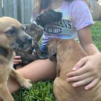 Thumbnail photo of Wilma #3