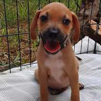 Thumbnail photo of Thackery Hocus Pocus #4