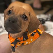 Thumbnail photo of Mary Hocus Pocus #1