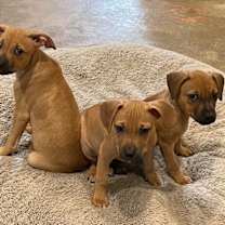 Thumbnail photo of Mary Hocus Pocus #2