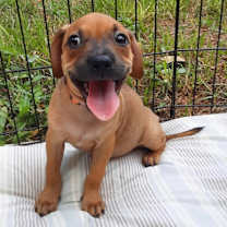 Thumbnail photo of Mary Hocus Pocus #3