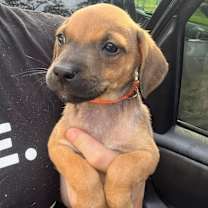 Thumbnail photo of Mary Hocus Pocus #4