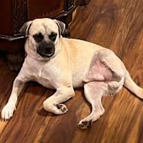 Thumbnail photo of Bellagio #1