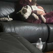 Thumbnail photo of Patches Rover #2