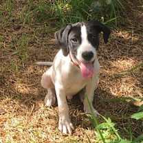 Thumbnail photo of Willy Love #3