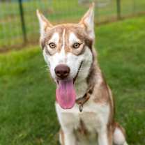 Thumbnail photo of Hades #2