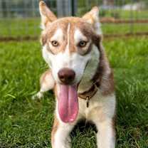 Thumbnail photo of Hades #4