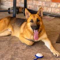 Thumbnail photo of Oakley #2