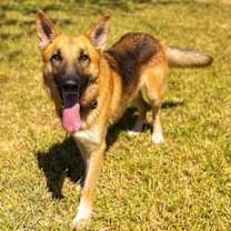 Thumbnail photo of Oakley #3