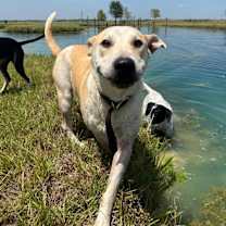 Thumbnail photo of Otis Boone #1