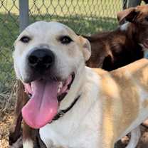 Thumbnail photo of Otis Boone #2