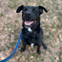 Thumbnail photo of Charlotte #3