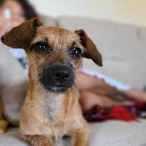 Thumbnail photo of Clorox (aka Kimchi) #1