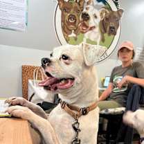 Thumbnail photo of Mr. Gobbles #1