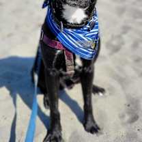 Thumbnail photo of JJ (CHECK OUT HIS VIDEOS!) #1