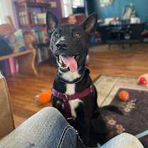 Thumbnail photo of JJ (CHECK OUT HIS VIDEOS!) #3