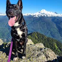 Thumbnail photo of JJ (CHECK OUT HIS VIDEOS!) #4