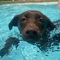 Thumbnail photo of Austin Bennet #3