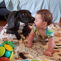 Thumbnail photo of Striker (TAM) #1