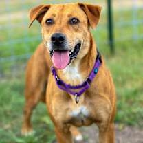 Thumbnail photo of Nala Jane #3