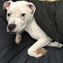 Thumbnail photo of Freya #1