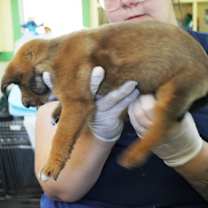 Thumbnail photo of Spellberry #2