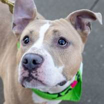 Thumbnail photo of Ghost #2