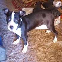 Thumbnail photo of Bubbles #1