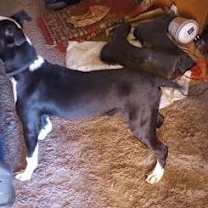 Thumbnail photo of Bubbles #2