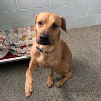 Thumbnail photo of Deuce #1