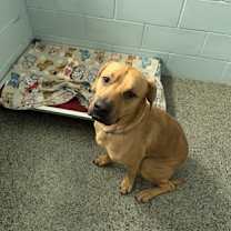 Thumbnail photo of Deuce #2