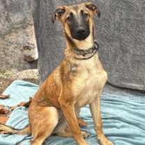 Thumbnail photo of Freya #1