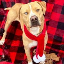 Thumbnail photo of Blue Eye #1