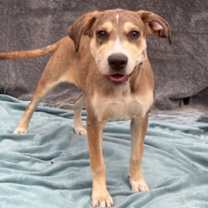 Thumbnail photo of Charlotte #1