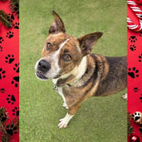 Thumbnail photo of Macy #2