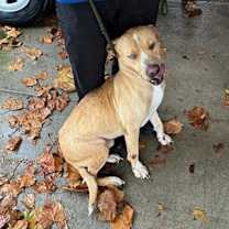 Thumbnail photo of Blue Eye #2