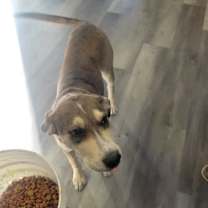 Thumbnail photo of Charlotte #2