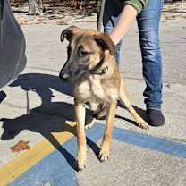 Thumbnail photo of Freya #2