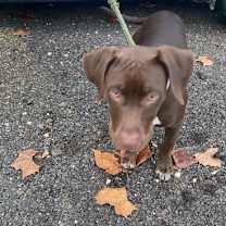 Thumbnail photo of Sally #2