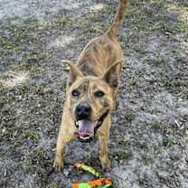 Thumbnail photo of Remi #1